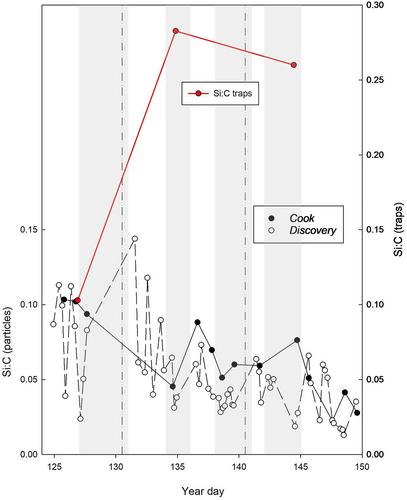 Physical Mechanisms Sustaining Silica Production Following the Demise of the Diatom Phase of the North Atlantic Spring Phytoplankton Bloom During EXPORTS