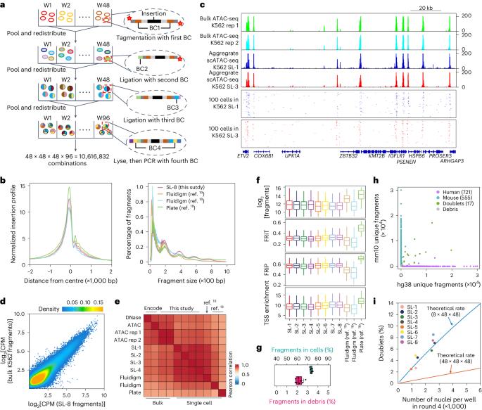 Mapping the chromatin accessibility landscape of zebrafish embryogenesis at single-cell resolution by SPATAC-seq