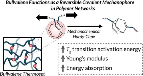 Molecular Ball Joints: Mechanochemical Perturbation of Bullvalene Hardy–Cope Rearrangements in Polymer Networks