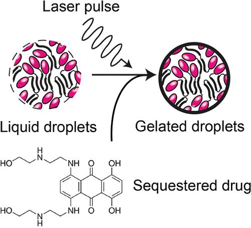Controlling Drug Partitioning in Individual Protein Condensates through Laser-Induced Microscale Phase Transitions