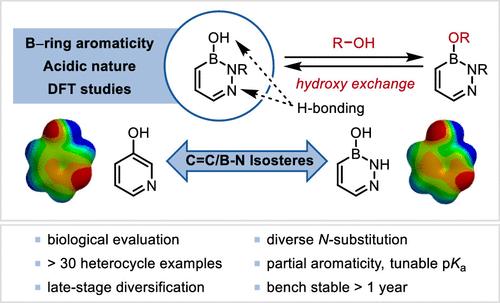 Removing Neighboring Ring Influence in Monocyclic B–OH Diazaborines: Properties and Reactivity as Phenolic Bioisosteres with Dynamic Hydroxy Exchange