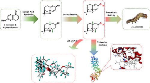 Synthetic Modification and Insecticidal Activity of 4-epi-cis-Dihydroagarofuran Derivatives