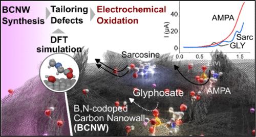 Tailoring Defects in B, N-Codoped Carbon Nanowalls for Direct Electrochemical Oxidation of Glyphosate and its Metabolites