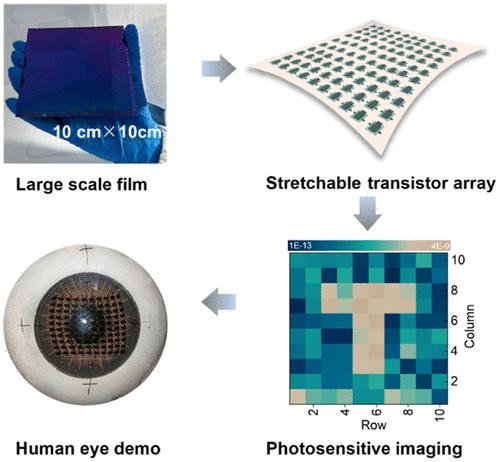 Highly Stretchable and Oriented Wafer-Scale Semiconductor Films for Organic Phototransistor Arrays