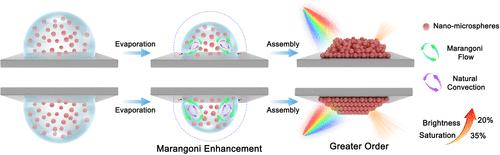 Structural Color Enhancement through Synchronizing Natural Convection and Marangoni Flow in Pendant Drops