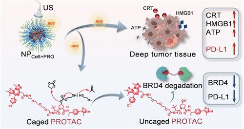 Ultrasound-Activated PROTAC Prodrugs Overcome Immunosuppression to Actuate Efficient Deep-Tissue Sono-Immunotherapy in Orthotopic Pancreatic Tumor Mouse Models