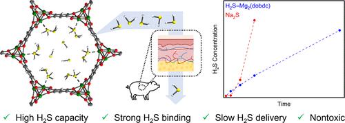 Transdermal Hydrogen Sulfide Delivery Enabled by Open-Metal-Site Metal–Organic Frameworks