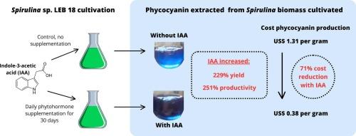 Enhancing content and decreasing production costs of phycocyanin through phytohormone supplementation in Spirulina cultivations