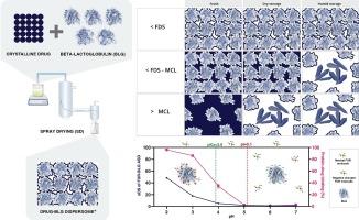 β-Lactoglobulin-based amorphous solid dispersions: A graphical review on the state-of-the-art