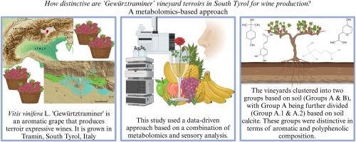 How distinctive are ‘Gewürztraminer’ vineyard terroirs in South Tyrol for wine production? A metabolomics-based approach