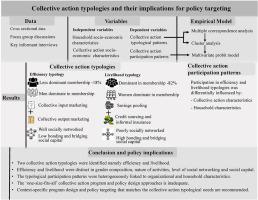 Collective action typologies and their implications for policy targeting: The case of smallholder households from the central region of Kenya