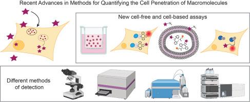 Recent advances in methods for quantifying the cell penetration of macromolecules