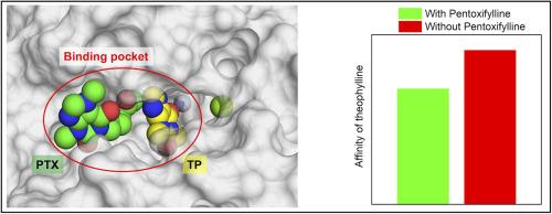 Computational and in vitro binding studies of theophylline against phosphodiesterases functioning in sperm in presence and absence of pentoxifylline