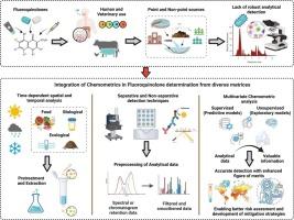 Review on unravelling the analytical signatures of fluoroquinolone antibiotics: Exploring diverse matrices through chemometric modelling