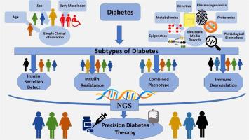 Challenges and opportunities in precision therapy for diabetic patients