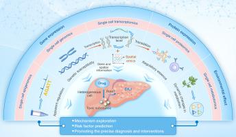 Single-cell omics in tracing cellular heterogeneity of drug-induced liver injury: Technological landscape and prospective application