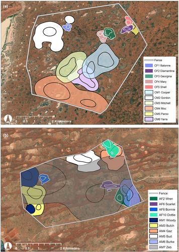 Investigating the effects of landscape productivity on the spatial ecology of a threatened marsupial inside feral predator exclosures