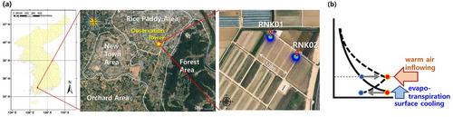 Effect of wind speed and net radiation on the oasis effect in temperate rice paddy fields