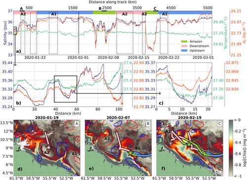 Oceanic Fronts Driven by the Amazon Freshwater Plume and Their Thermohaline Compensation at the Submesoscale