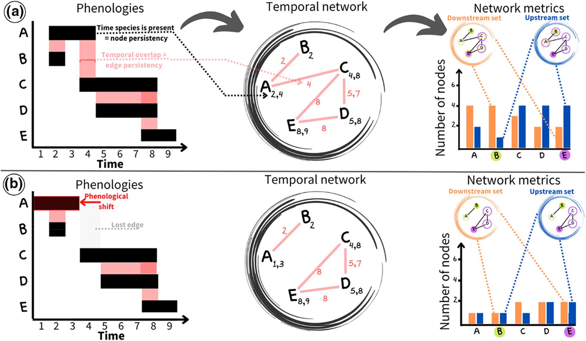 Time is of the essence: A general framework for uncovering temporal structures of communities