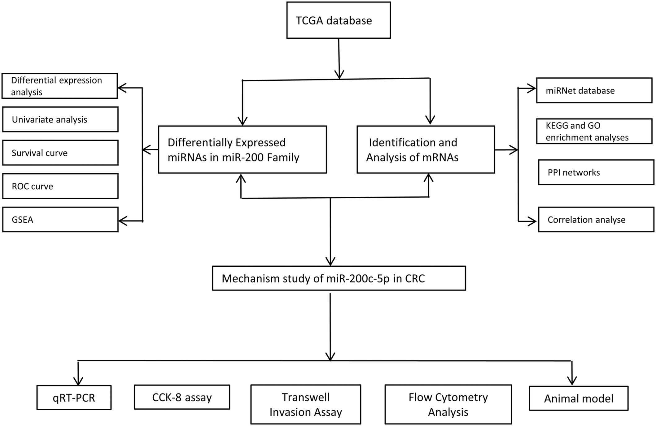 Prognostic value and potential regulatory relationship of miR-200c-5p in colorectal cancer