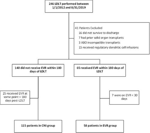 Early Conversion to Everolimus Within 180 Days of Living Donor Liver Transplantation