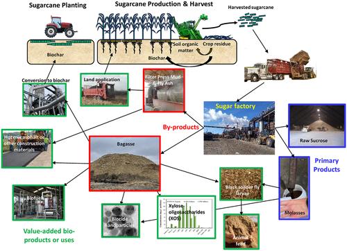 Creating a bio-based circular economy from Louisiana sugarcane byproducts