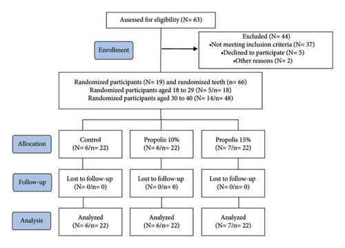 Efficacy of Experimental Propolis-Based Toothpastes on Dentin Hypersensitivity: A Randomized Clinical Trial