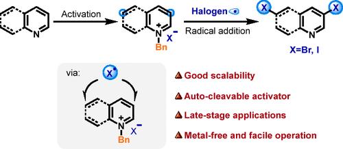 Radical meta-C–H Halogenation of Azines via N-Benzyl Activation Strategy