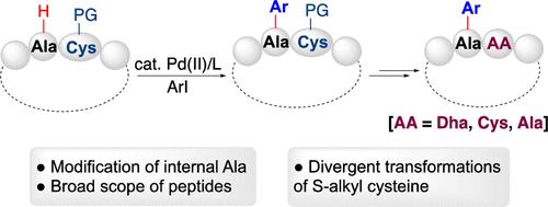 Ligand-Enabled, Cysteine-Directed β-C(sp3)–H Arylation of Alanine in Linear and Cyclic Peptides: Overcoming the Inhibitory Effect of Peptide Bonds