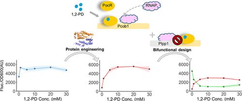 Investigating and Engineering an 1,2-Propanediol-Responsive Transcription Factor-Based Biosensor