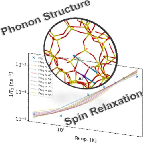 Spin–Lattice Relaxation and Spin–Phonon Coupling of ns1 Metal Ions at the Surface