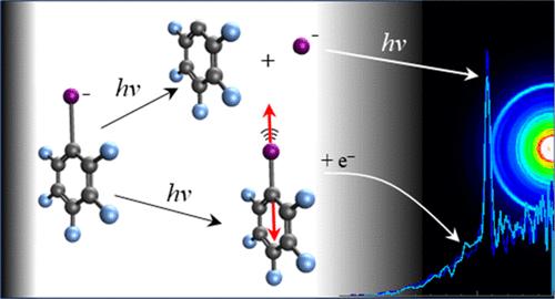 Anion Photoelectron Imaging Spectroscopy of C6F5X– (X = F, Cl, Br, I)