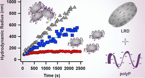 The Impact of Polyphosphates on the Colloidal Stability of Laponite Particles