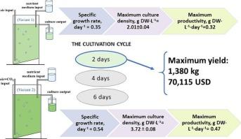 Biotechnological and economic assessment of the productivity of Chlorella vulgaris IBSS-19 microalgae under different cultivation regimes