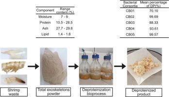 Biotechnological deproteinization of shrimp waste (Litopenaeus vannamei) using bacterial consortia