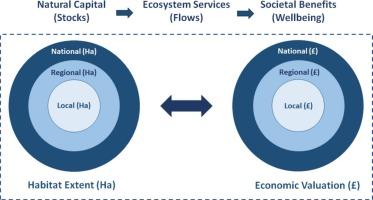 Linking marine habitats and economic values: A spatial scaling methodology for valuing societal benefits