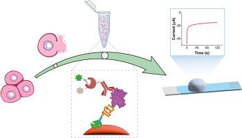 A novel magnetic ligand-based assay for the electrochemical determination of BRD4