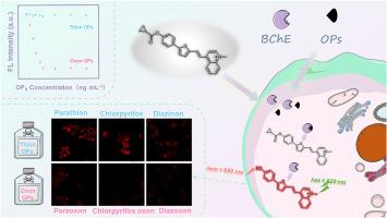 Near-infrared fluorescent probe for ultrasensitive detection of organophosphorus pesticides and visualization of their interaction with butyrylcholinesterase in living cells