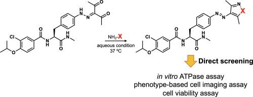 A chemical platform for the efficient screening of arylazopyrazole-based photoswitchable CENP-E inhibitors using mild cyclization reactions