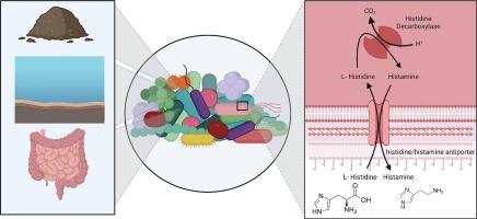 Phylogenetically diverse bacterial species produce histamine