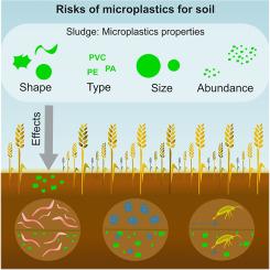 Ecological risk assessment framework for microplastics in agricultural soils amended with biosolids