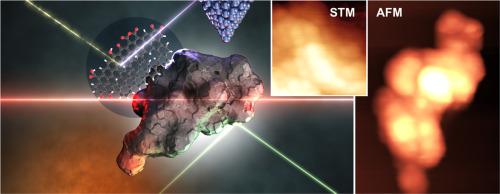 Unveiling the surface of carbon black via scanning probe microscopy and chemical state analysis