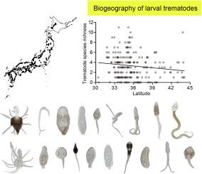 Biogeography of larval trematodes in the freshwater snail, Semisulcospira libertina: a comparison of the morphological and molecular approaches