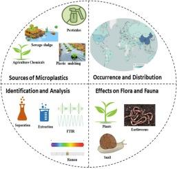 Traversing the prevalence of microplastics in soil-agro ecosystems: Origin, occurrence, and pollutants synergies