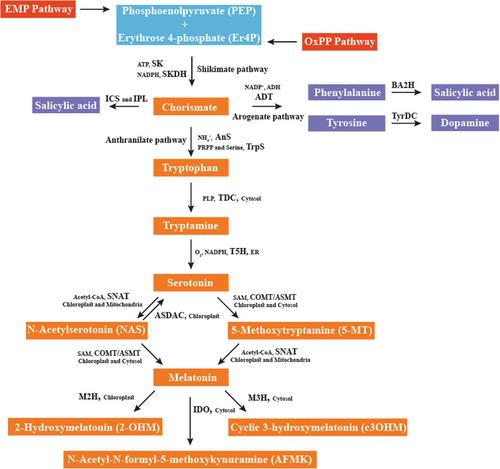 Phytomelatonin: From Intracellular Signaling to Global Horticulture Market