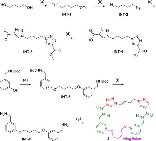 Novel allosteric glutaminase inhibitors with macrocyclic structure activity relationship analysis (part 2)