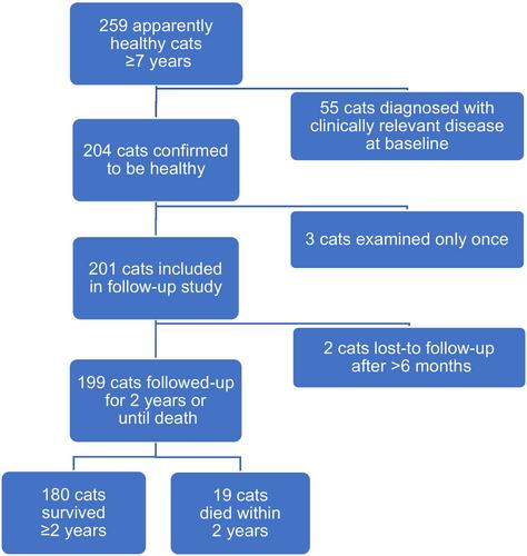 Value of repeated health screening in 259 apparently healthy mature adult and senior cats followed for 2 years