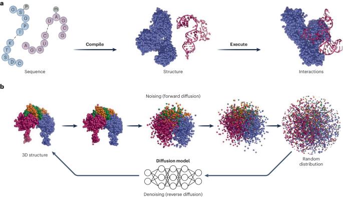 AlphaFold3 takes a step toward decoding molecular behavior and biological computation