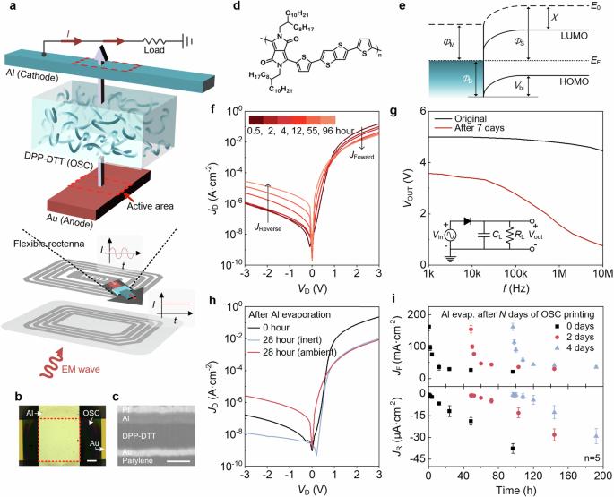 Stabilizing Schottky junction in conjugated polymer diodes enables long-term reliable radio-frequency energy harvesting on plastic